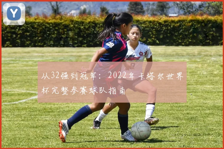 从32强到冠军：2022年卡塔尔世界杯完整参赛球队指南