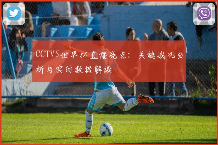 CCTV5世界杯直播亮点：关键战况分析与实时数据解读