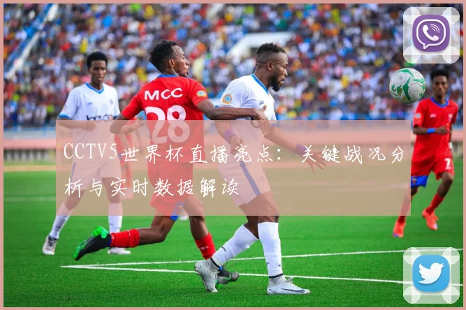 CCTV5世界杯直播亮点：关键战况分析与实时数据解读