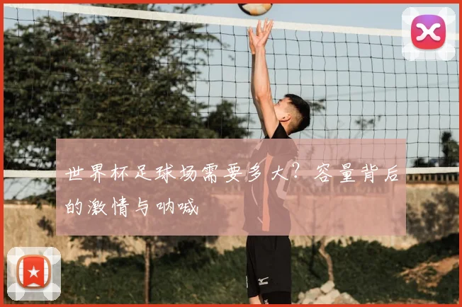 世界杯足球场需要多大？容量背后的激情与呐喊