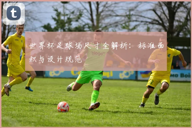 世界杯足球场尺寸全解析：标准面积与设计规范