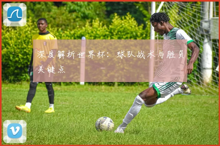 深度解析世界杯:球队战术与胜负关键点