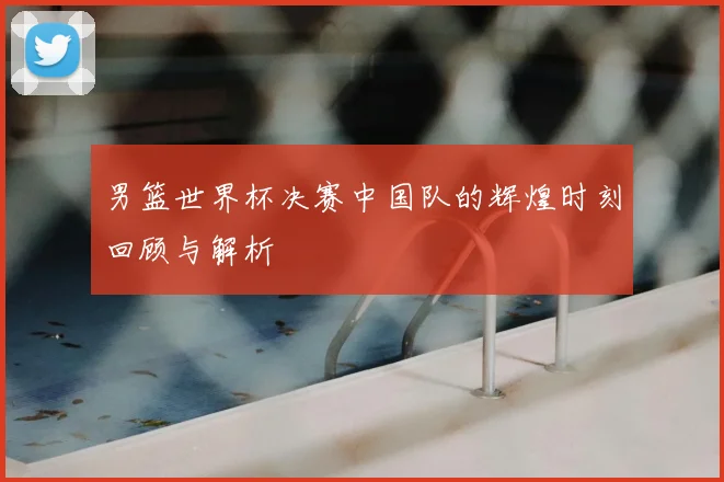男篮世界杯决赛中国队的辉煌时刻回顾与解析