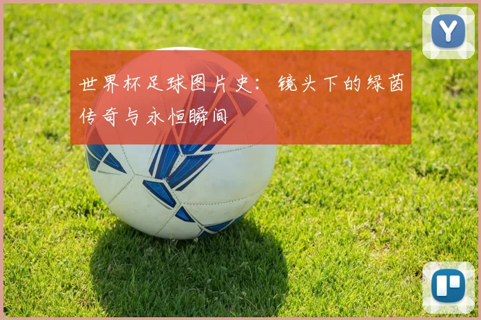 世界杯足球图片史：镜头下的绿茵传奇与永恒瞬间