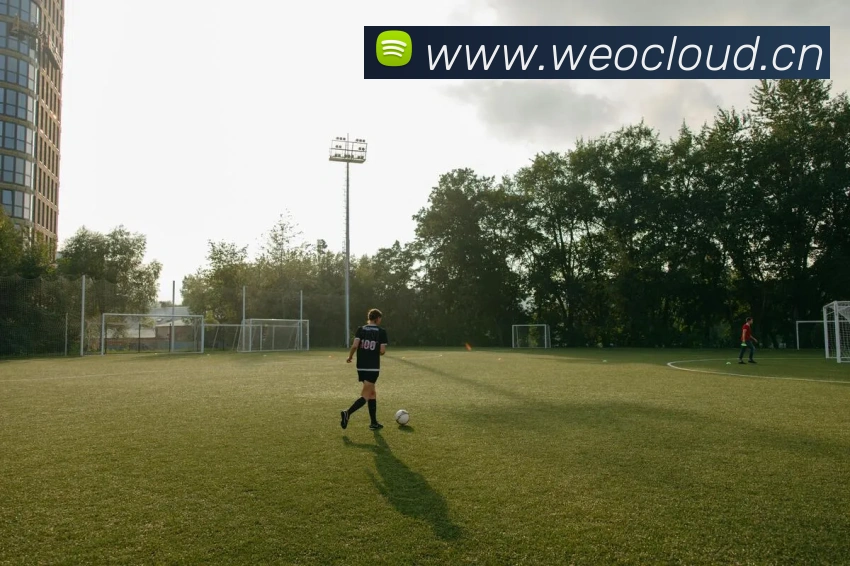 hth华体官网登录入口平台生态图